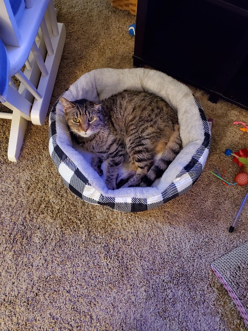 EntirelyPets photo 5