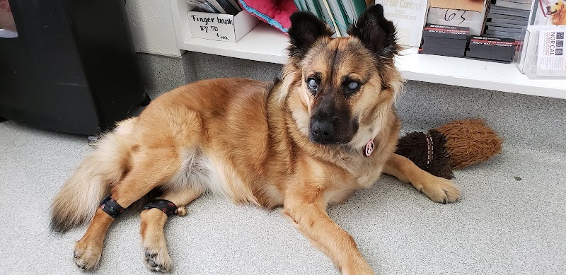 Masson Veterinary Hospital photo 2