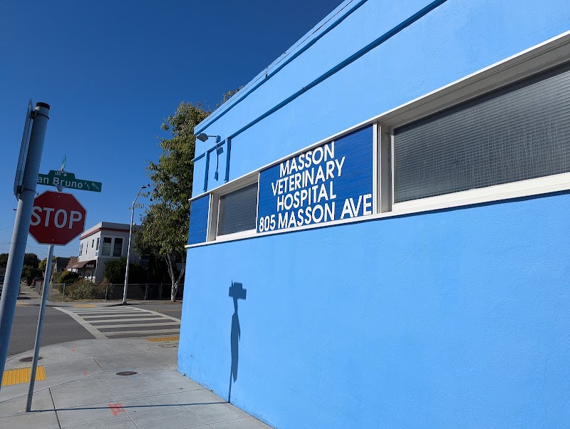 Masson Veterinary Hospital photo 4