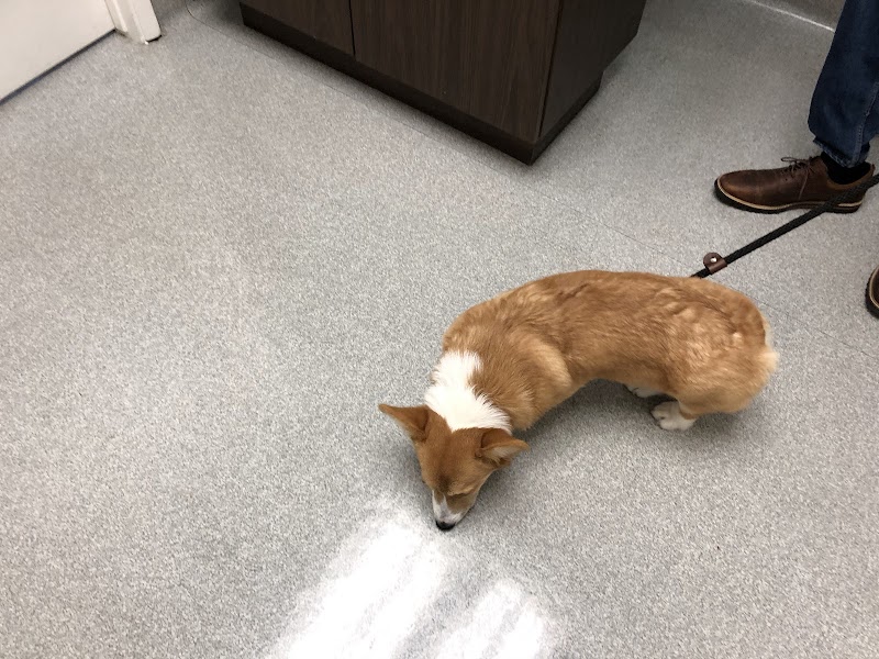 Photo of Masson Veterinary Hospital