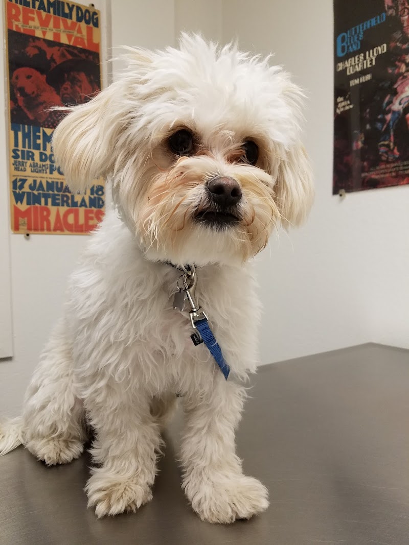 Masson Veterinary Hospital photo 5