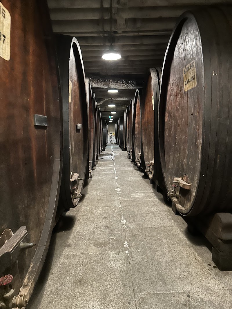 Korbel Winery photo 4