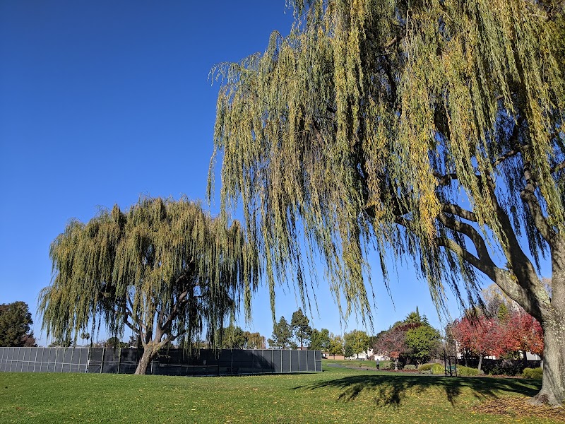 Photo of Boothbay Park