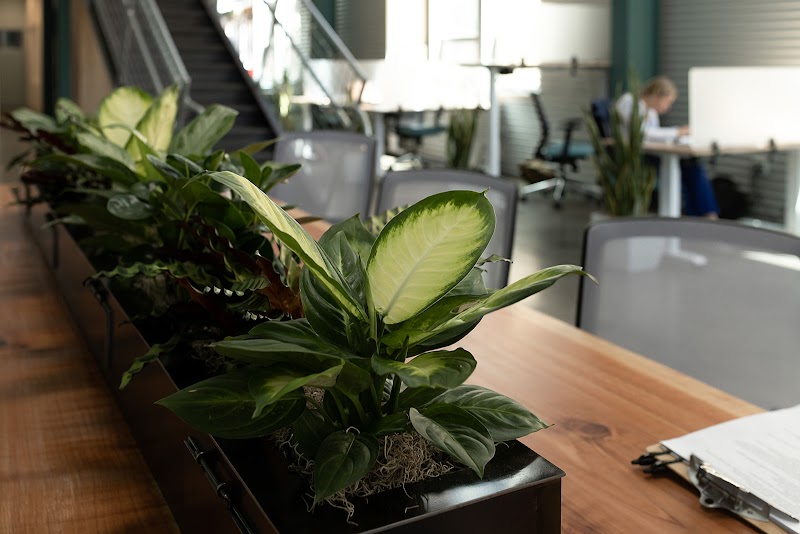 The Livery CoWork photo 5
