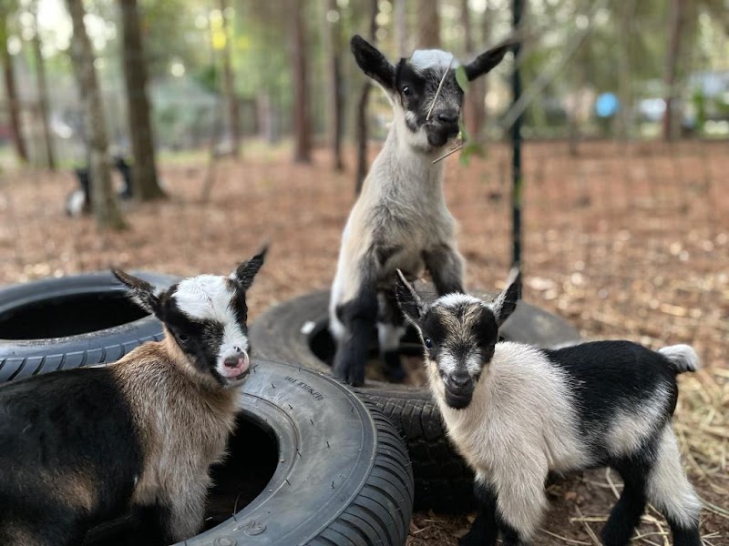 Photo of Darby Farm