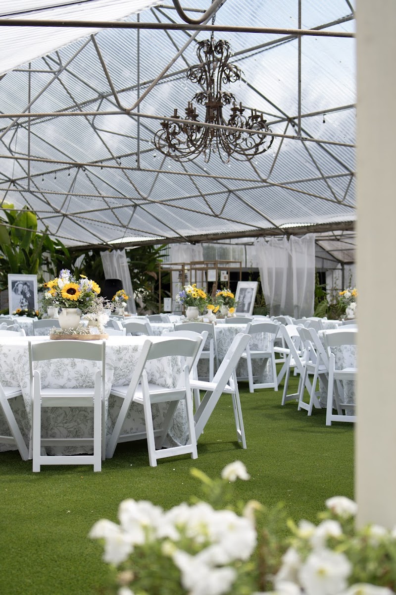 The Tampa Green Houses photo 4