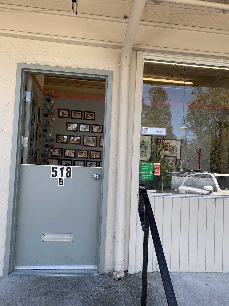 Tamalpais Dog Grooming photo 3