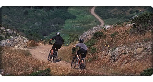 Photo of Action Sports Medicine