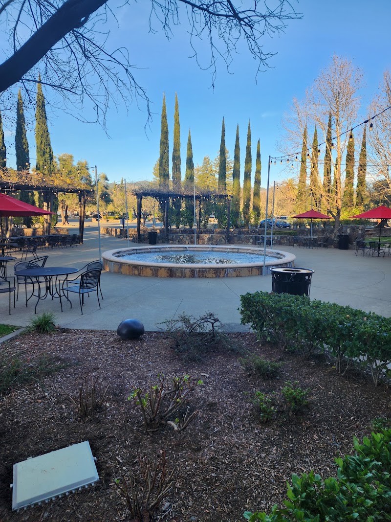 Sebastiani Vineyards & Winery photo 4
