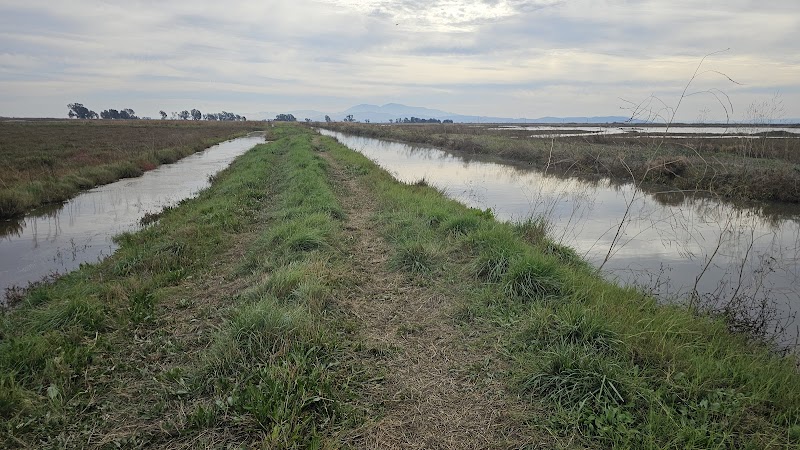 Photo of Grizzly Island Wildlife Area - Crescent Unit