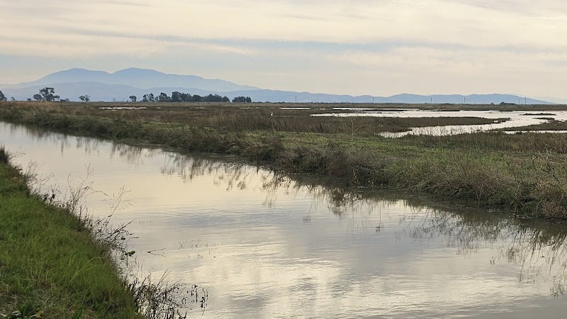 Grizzly Island Wildlife Area - Crescent Unit photo 5