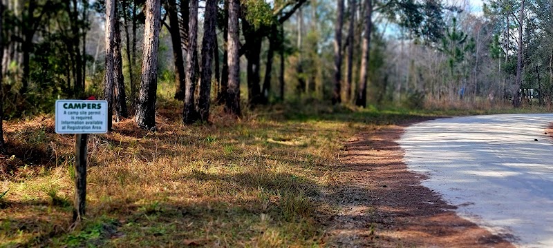 Green Swamp East Tract photo 4