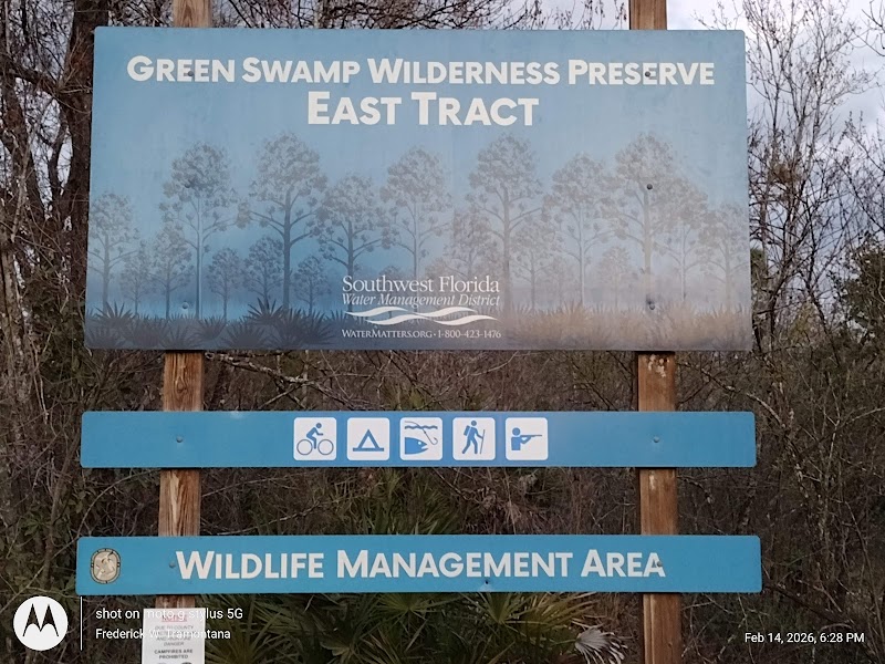Photo of Green Swamp East Tract