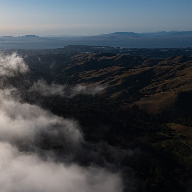 Cirrus Law PC photo 4