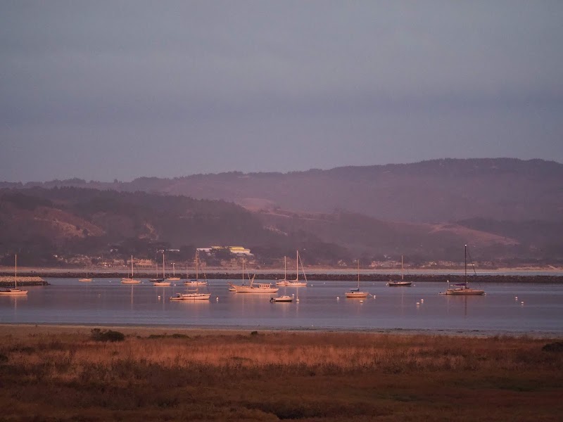 CoastsideBuzz.com photo 2