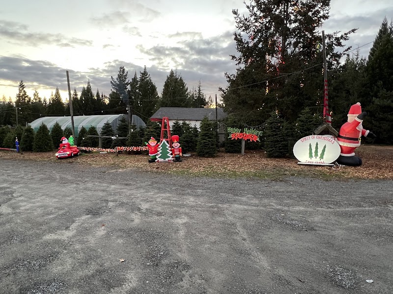 Photo of Spirit of Christmas Tree Farm