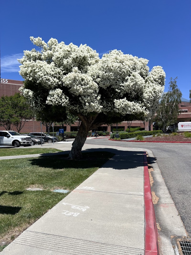 Stanford Digestive Health Center in Pleasanton photo 2