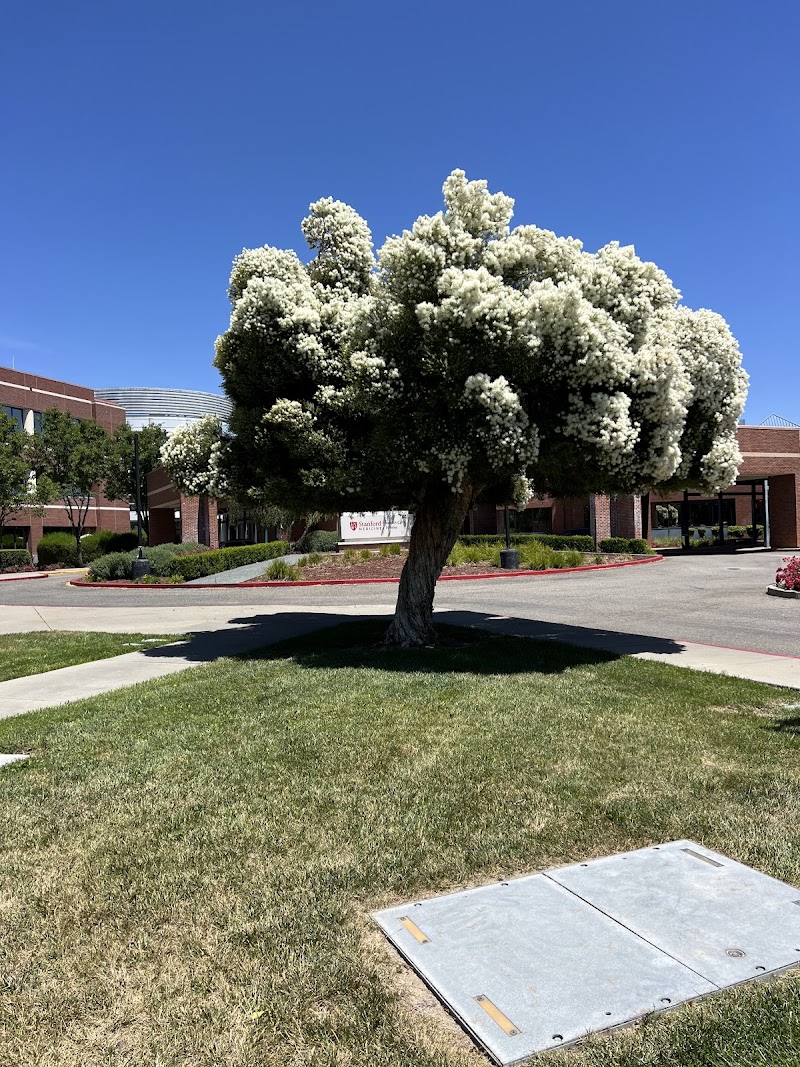 Stanford Digestive Health Center in Pleasanton photo 4