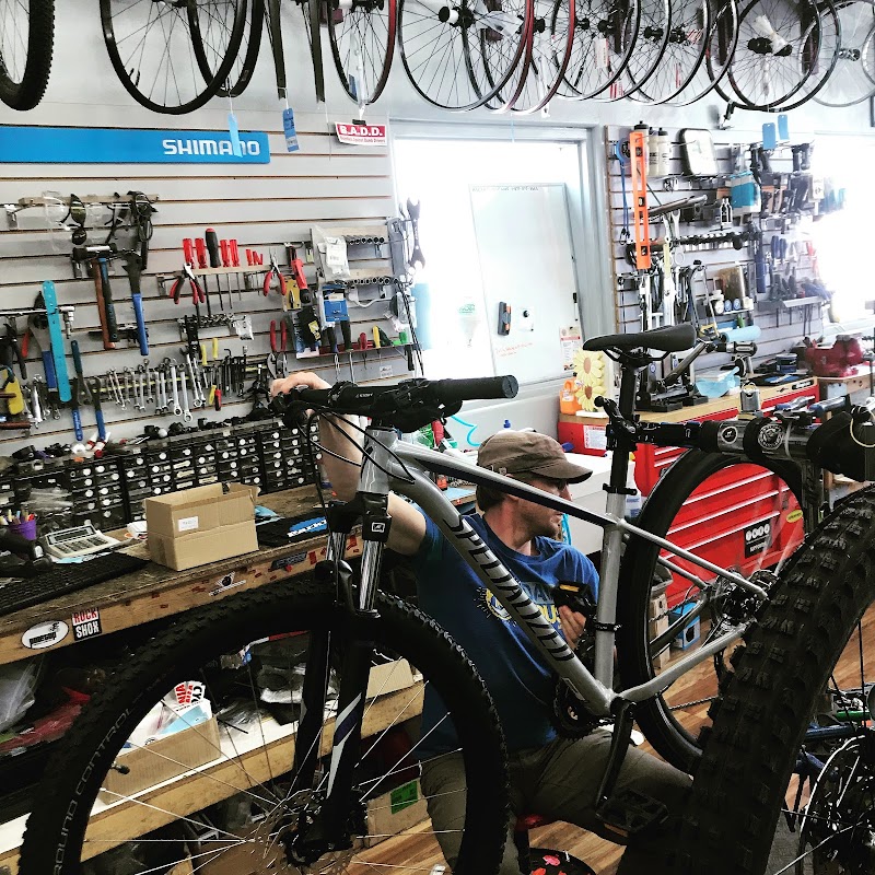 Cycle Mania photo 5