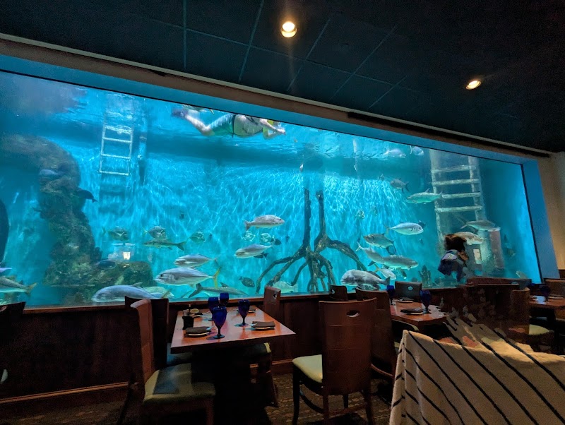 Swim with our Fish photo 2