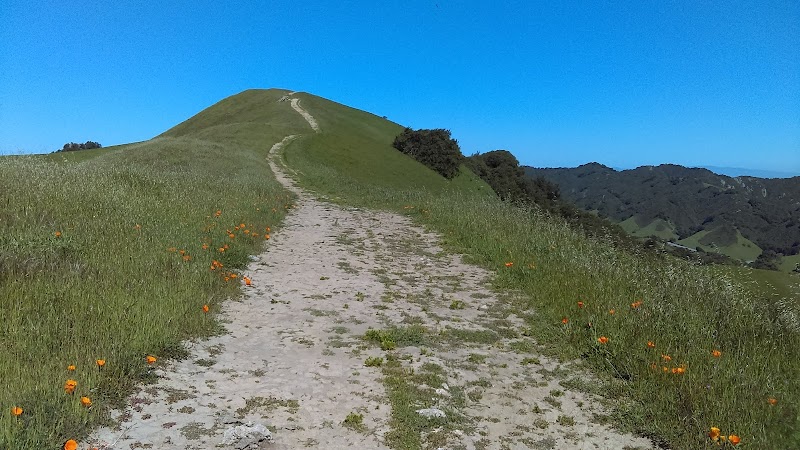 Las Trampas Ridge Trail photo 4