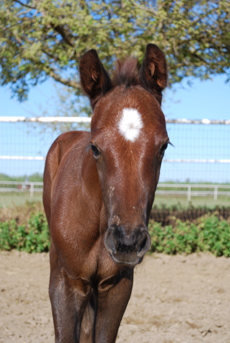 Photo of Ed Moger Racing Stable