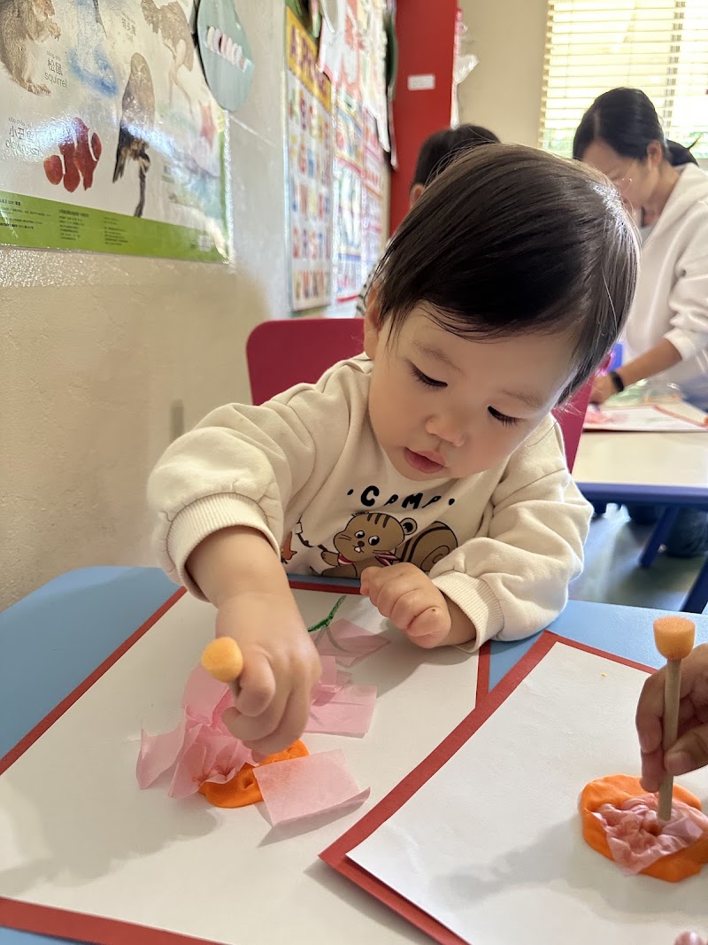 Star Daycare ( 星星幼儿园)San Jose Milpitas photo 2