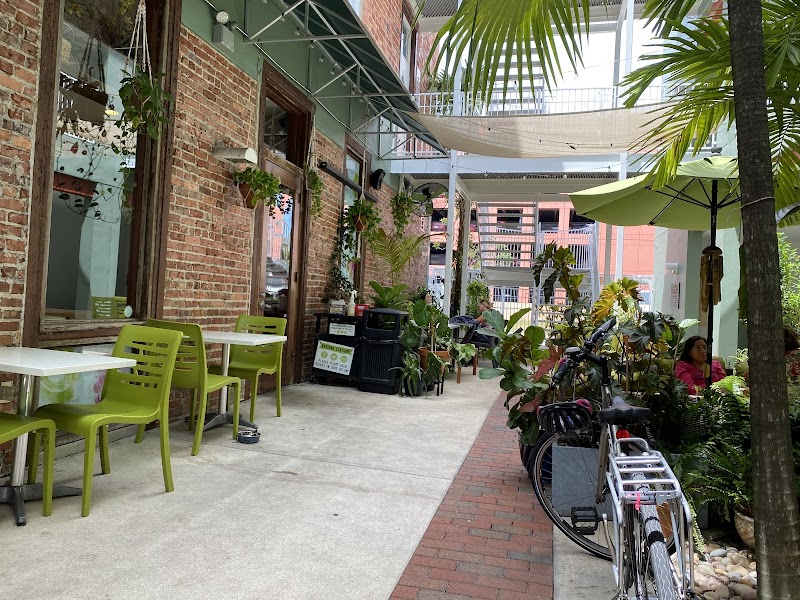 Green Cup Café photo 4