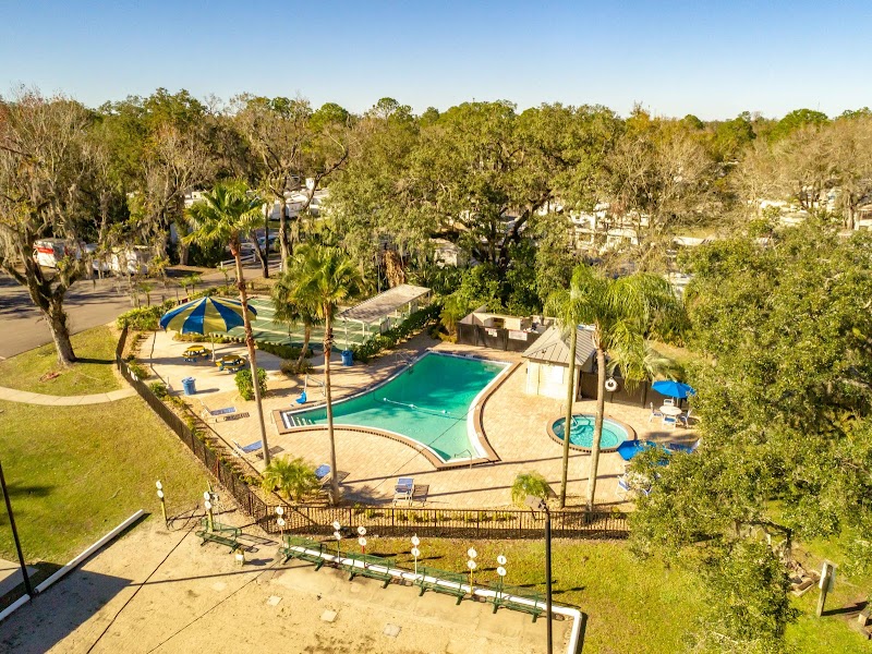 Tampa East photo 5
