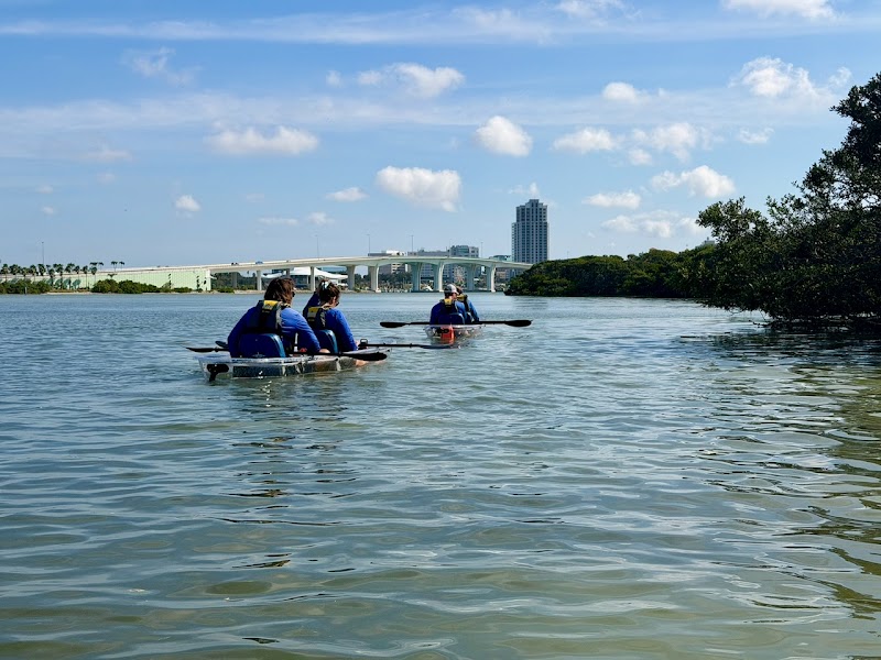 Get Up And Go Kayaking - Clearwater Beach photo 3