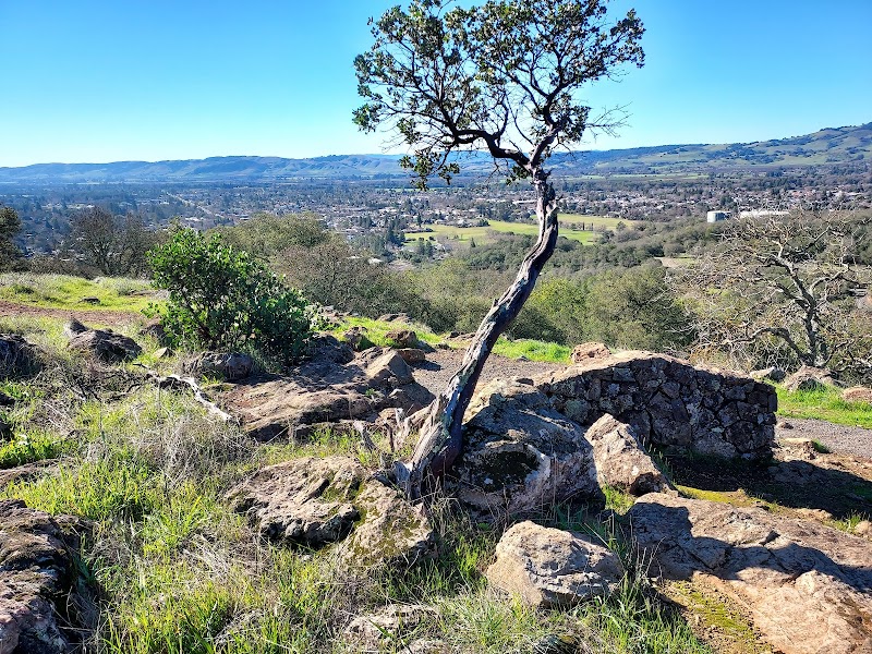 Sonoma Overlook Trail photo 5