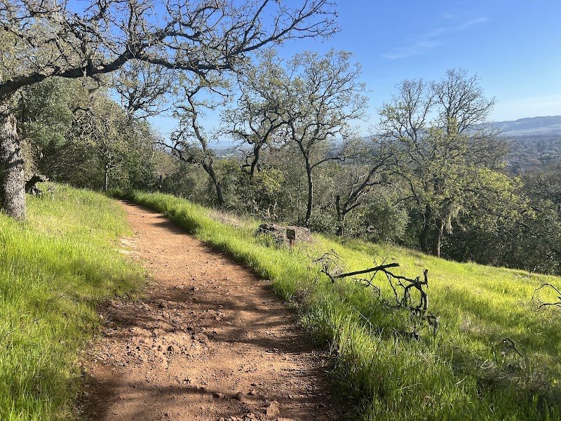 Sonoma Overlook Trail photo 4