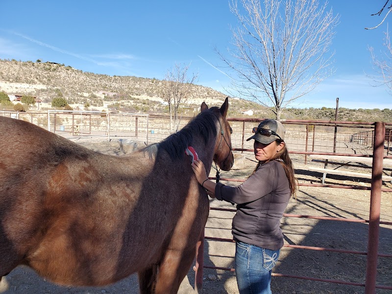 Photo of AAA Boarding and Equestrian center