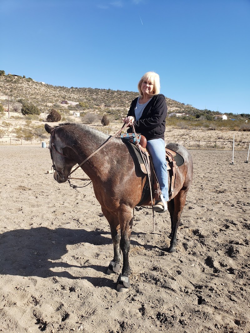 AAA Boarding and Equestrian center photo 4