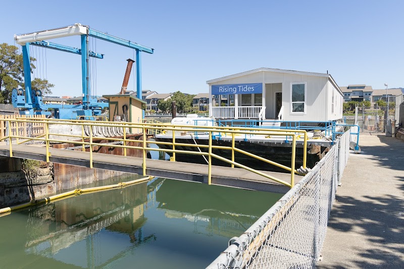 The Floating Art Museum photo 3