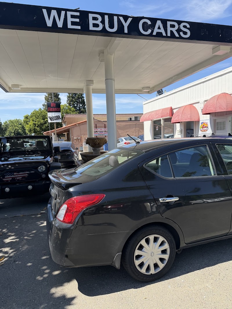 Alamo Carbuy Pro photo 5