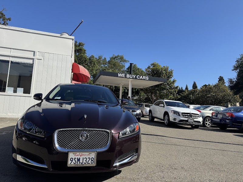 Alamo Carbuy Pro photo 2