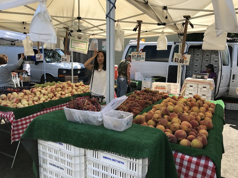 Millbrae Farmers' Market photo 2