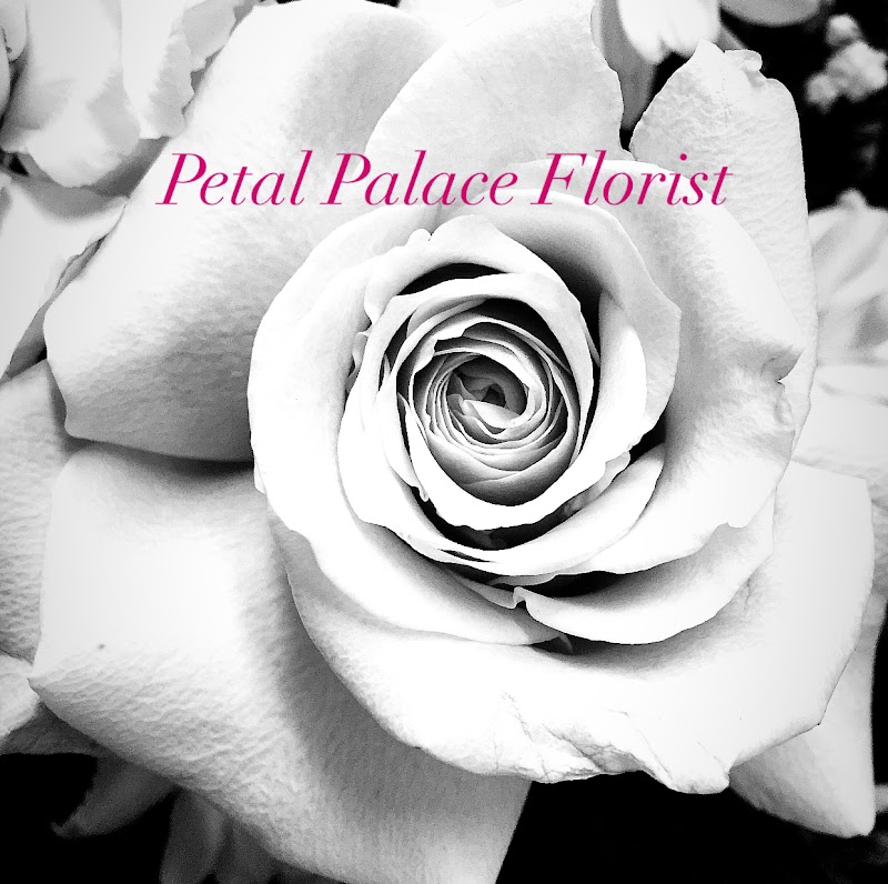 Petal Palace photo 2