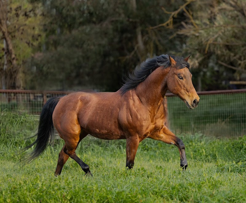 Russell Ranch photo 3