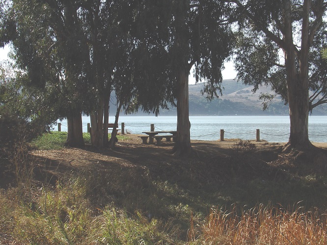 West 14th Street Park photo 2