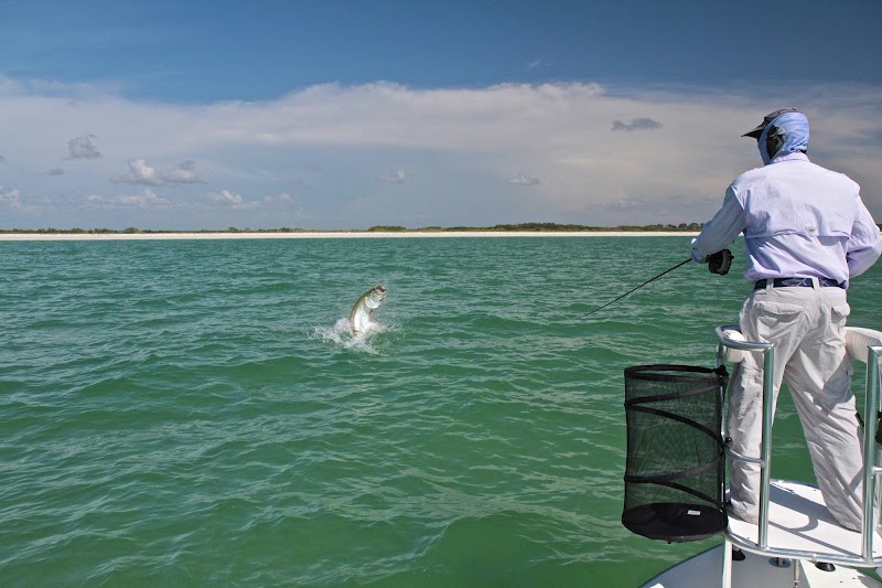 Capt Brian Jill - Tampa Bay Fly Fishing Guide photo 3