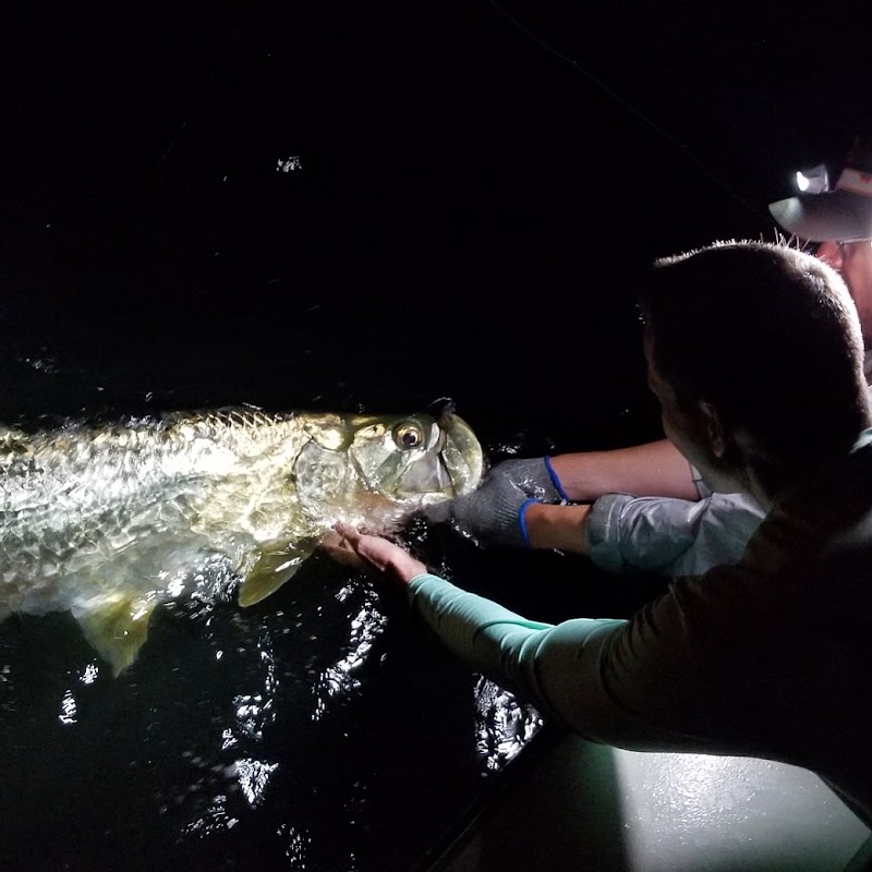 Capt Brian Jill - Tampa Bay Fly Fishing Guide photo 4
