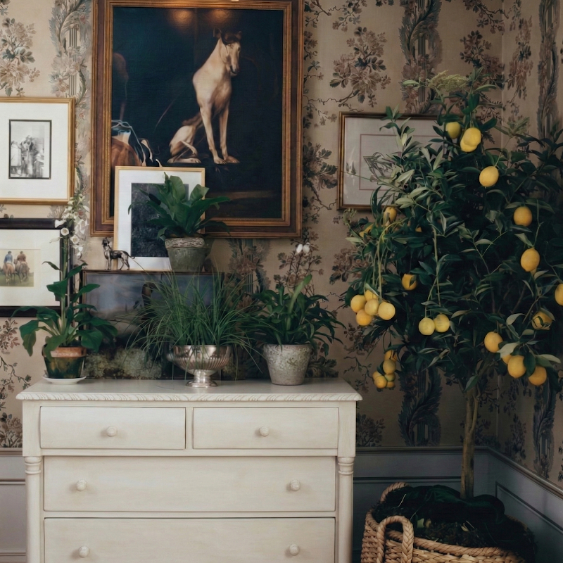 Reeva Sethi Home photo 5