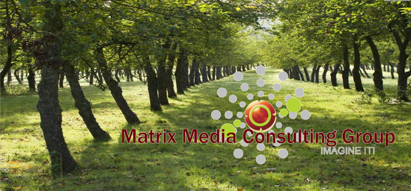 Photo of Matrix Media Consulting Group