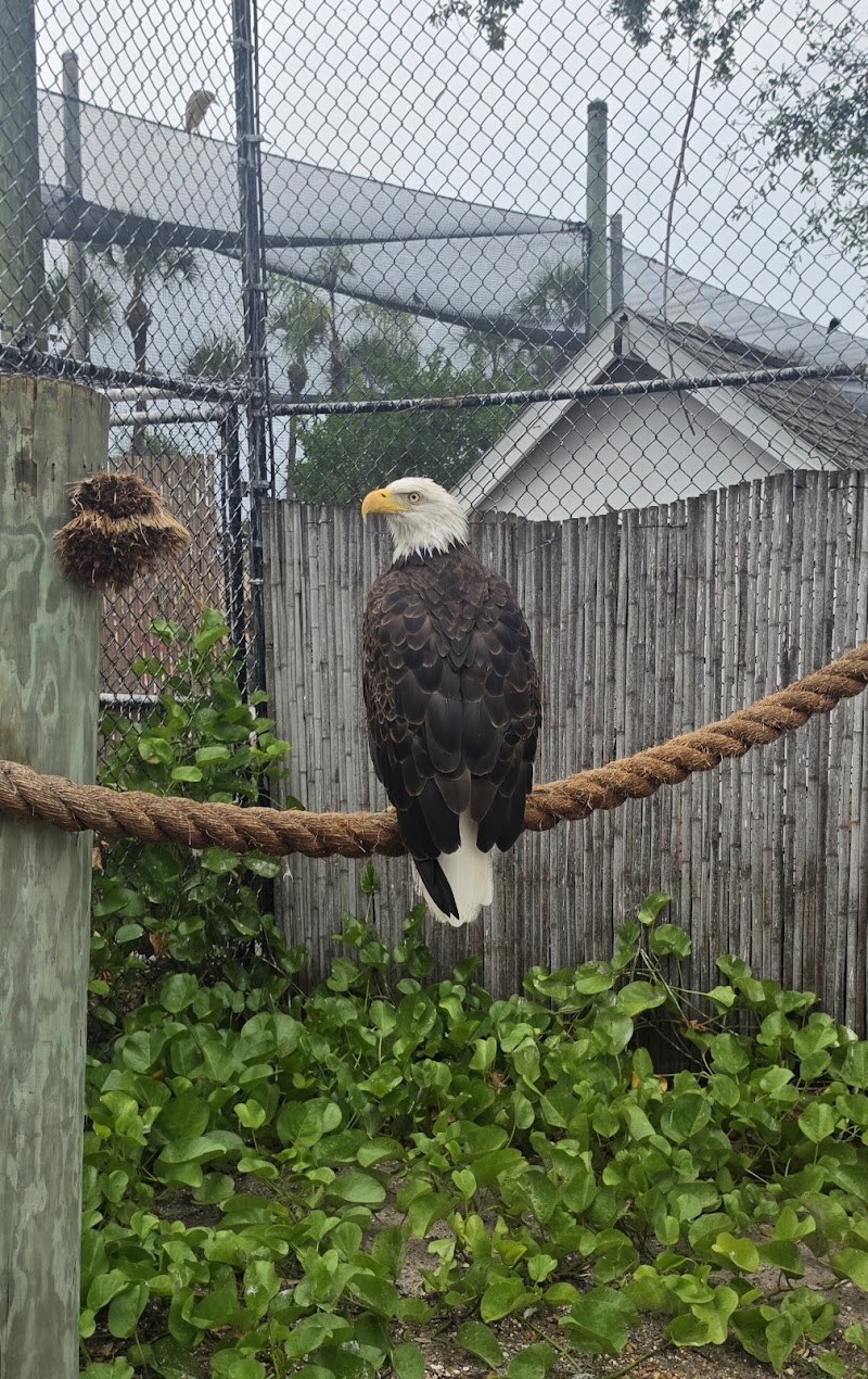 Seaside Seabird Sanctuary photo 5