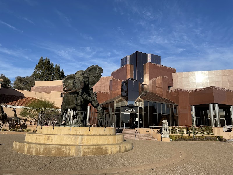 Blackhawk Museum photo 2