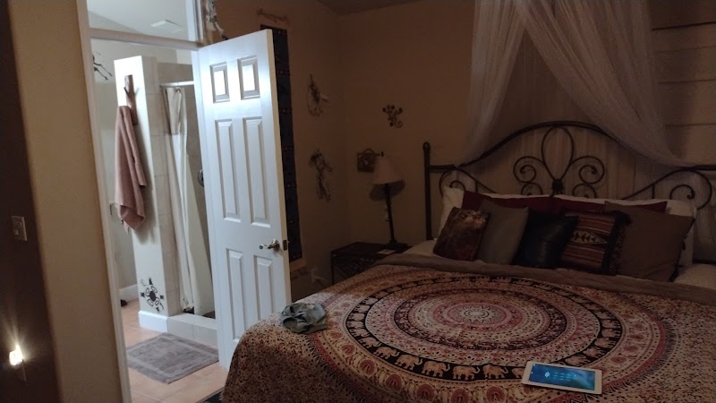 Laughing Lizard Bed and Breakfast photo 2