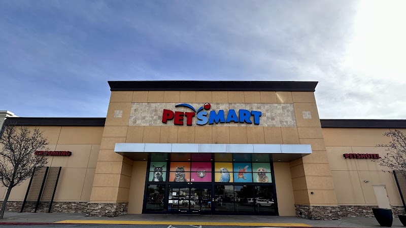 PetSmart Doggie Day Camp photo 4