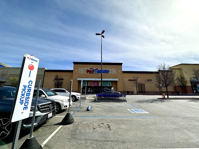 PetSmart Doggie Day Camp photo 5